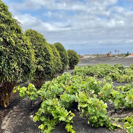 Semesterbostad Casa Cueva De Palomas 1 Las Manchas (La Palma)